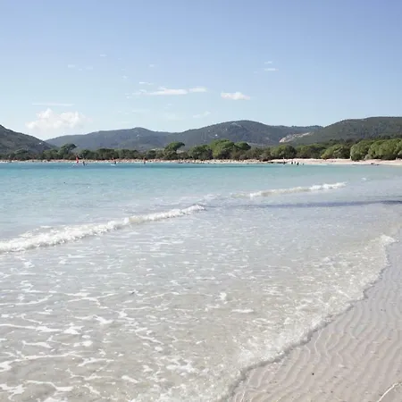 Mini Corse Du Sud فيلة
