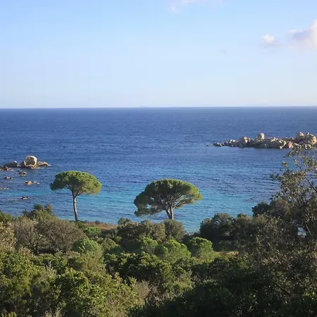فيلة Mini Corse Du Sud
